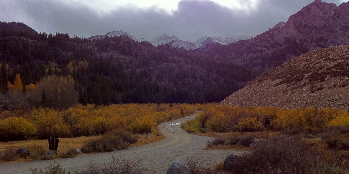 A dirt road bending between golden autumn aspens toward storm clouds over a snow-dusted mountain range