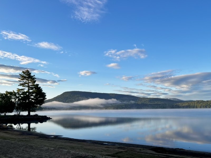 Morning mist lifting off a still lake, a lone pine on the near shore