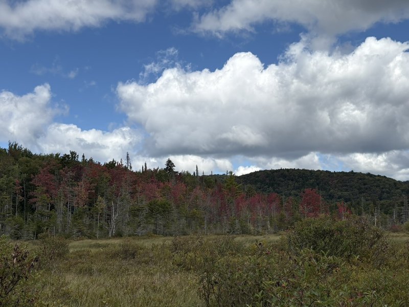 A wide meadow under billowing clouds, the first red of autumn in the trees